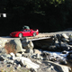 Illustration for article titled Ferrari F-40. Will It Wilderness?